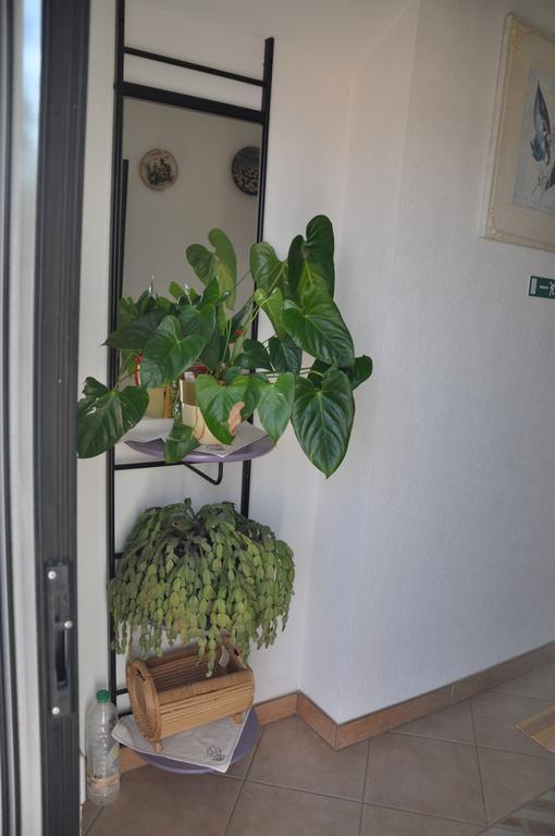 Franko Apartmani Zambratija Kültér fotó